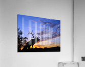 3327 Acrylic Print