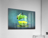 3328 Acrylic Print