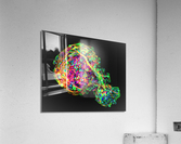 3335 Acrylic Print