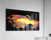 3338 Acrylic Print