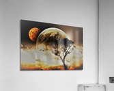 3339 Acrylic Print
