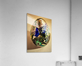 3371 Acrylic Print