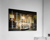 3379 Acrylic Print