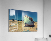3398 Acrylic Print