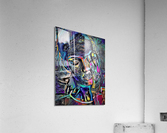 3410 Acrylic Print