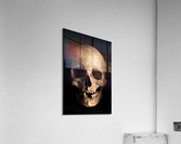 3421 Acrylic Print