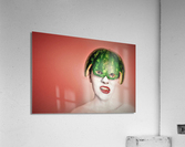 3427 Acrylic Print