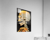 3430 Acrylic Print