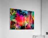 3448 Acrylic Print