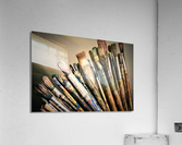3451 Acrylic Print