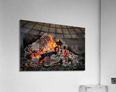3452 Acrylic Print