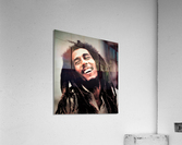 3456 Acrylic Print