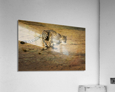 3460 Acrylic Print
