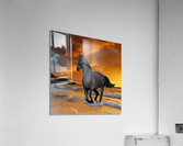 3462 Acrylic Print