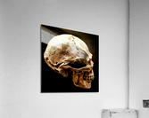 3465 Acrylic Print