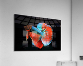 3466 Acrylic Print