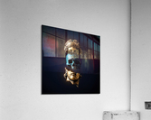 3472 Acrylic Print