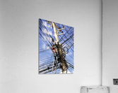 3477 Acrylic Print