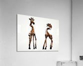 3480 Acrylic Print