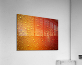 3482 Acrylic Print