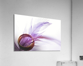 3493 Acrylic Print