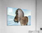 3496 Acrylic Print