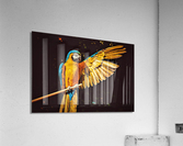 3500 Acrylic Print