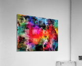 3507 Acrylic Print