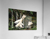 3514 Acrylic Print