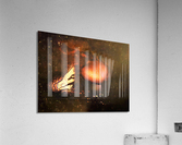 3521 Acrylic Print