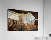 3525 Acrylic Print