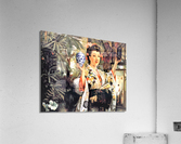 3533 Acrylic Print