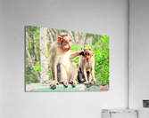 3539 Acrylic Print
