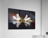 3557 Acrylic Print