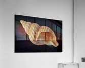 3564 Acrylic Print