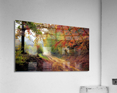 3566 Acrylic Print