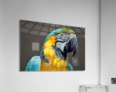 3569 Acrylic Print