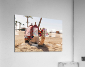 3585 Acrylic Print