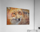 3588 Acrylic Print