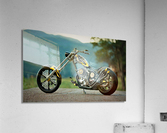 3595 Acrylic Print