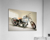3604 Acrylic Print