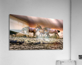 3610 Acrylic Print