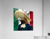 3611 Acrylic Print