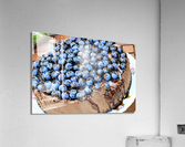 3625 Acrylic Print
