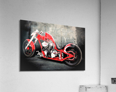 3626 Acrylic Print