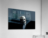 3627 Acrylic Print