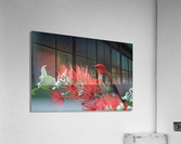 3631 Acrylic Print