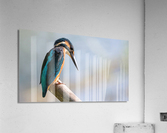 3636 Acrylic Print