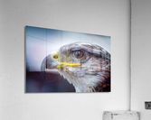 3644 Acrylic Print