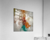 3655 Acrylic Print